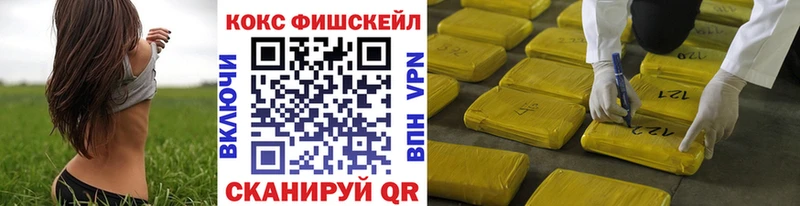 Купить закладки  Заозёрный  COCAIN 98% 