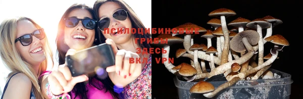 твердый Зерноград