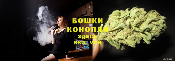твердый Зеленодольск