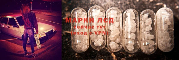 твердый Зерноград