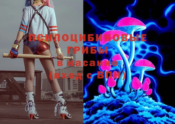 твердый Зеленодольск